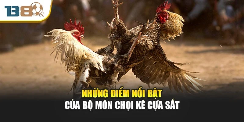Những điểm nổi bật của bộ môn chọi kê cựa sắt